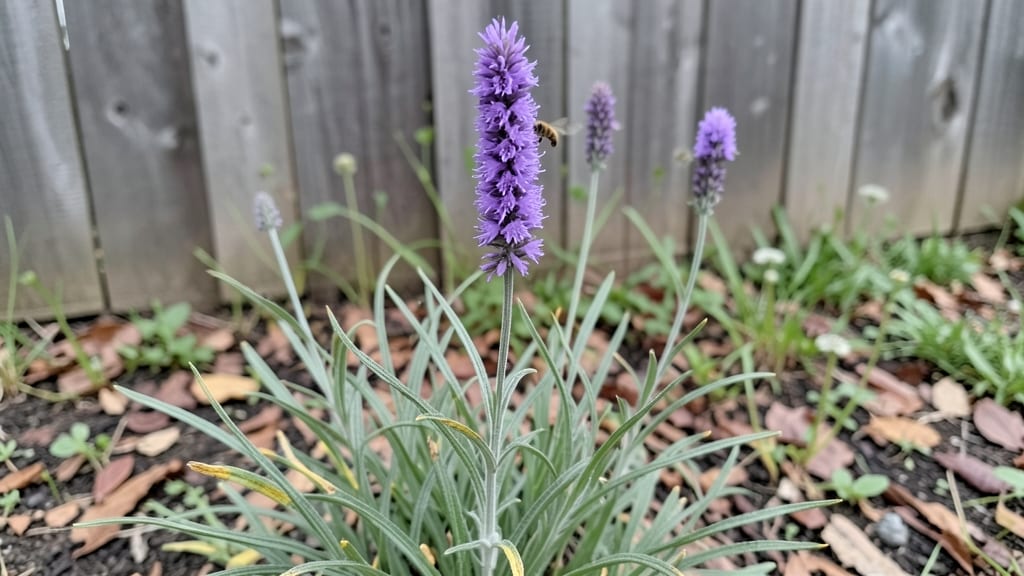 Purple Spike Perennial: Bold Vertical Drama for Pollinator Gardens